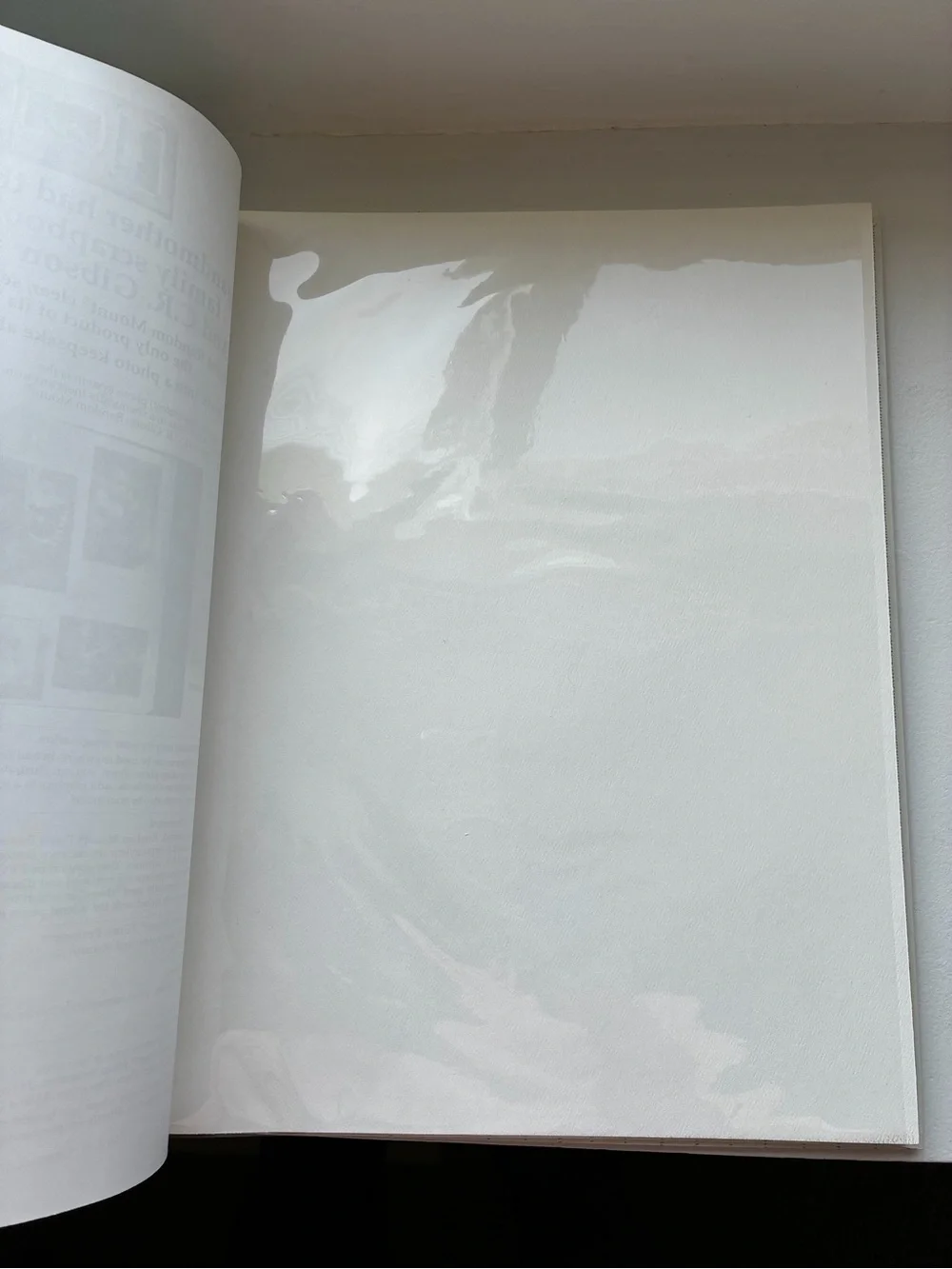Large Peter Rabbit Scrapbook - White with Pastel Accents
